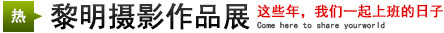 攝影展：這些年，我們一起上班的日子